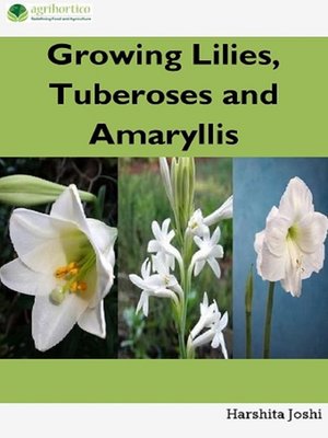 cover image of Growing Lilies, Tuberoses and Amaryllis